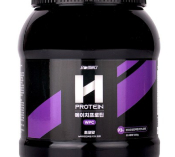 Today’s Body H Protein WPC Protein Supplement Protein 93% Chocolate Flavor, 1000g x 1, 1kg, 1ea