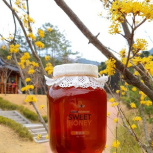 [Launch of Sun Honey/Event] Sweet Honey 100% Natural Domestic Honey 2.4kg Miscellaneous Honey