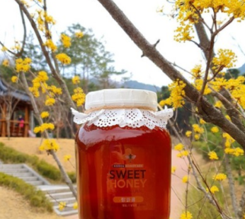 [Launch of Sun Honey/Event] Sweet Honey 100% Natural Domestic Honey 2.4kg Miscellaneous Honey