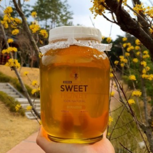 [Honey Launch/Event] Sweet Honey 100% Natural Domestic Honey 2.4kg Acacia Honey Chestnut”