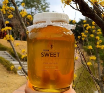 [Honey Launch/Event] Sweet Honey 100% Natural Domestic Honey 2.4kg Acacia Honey Chestnut”