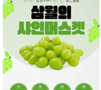 High-sugar Shine Muscat Seedless Grapes for Home Use, Economical Type, Approximately 2kg…, 1 Box