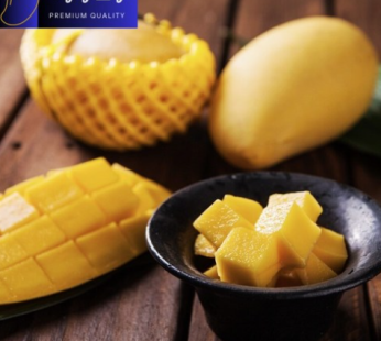 (With Mango) Gold Mango Thailand Air Direct Delivery 2.5kg 5kg Coupang Special Price, 2.5KG Large Fruit, 1 Box