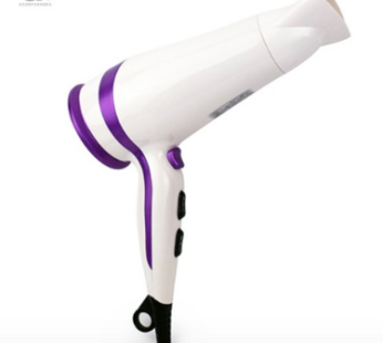 Goodformers 6-stage adjustable style mode Lux 2.0 2000W durable dryer